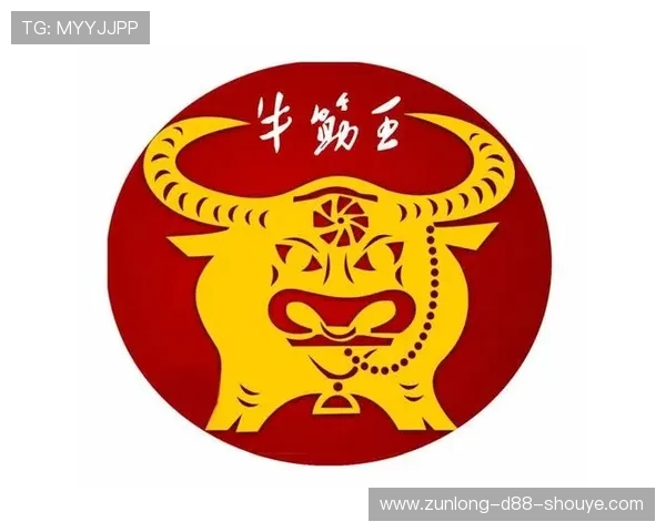 尊龙凯时手机版下载安装过程中遇到的问题及应对技巧